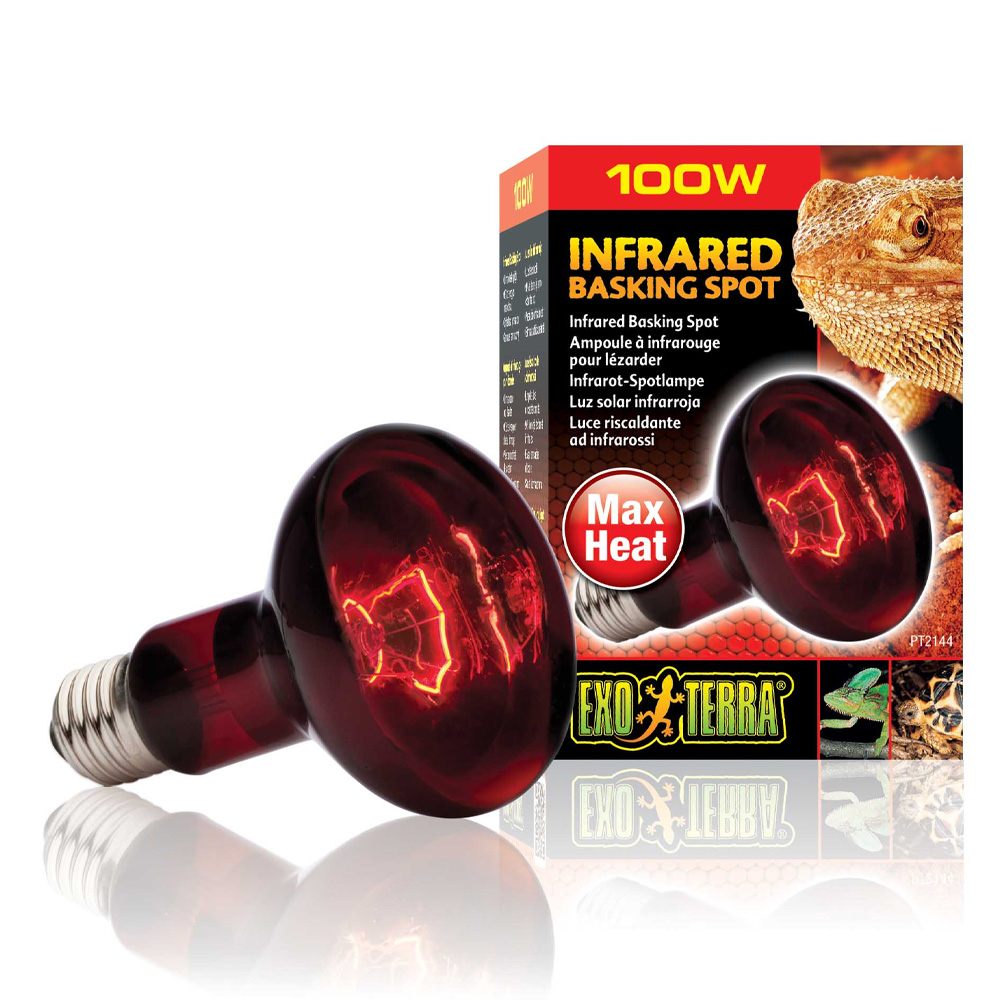 Exo Terra Infrared Basking Spot 100W Czerwona Żarówka Grzewcza